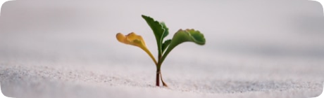 Investment Preparation