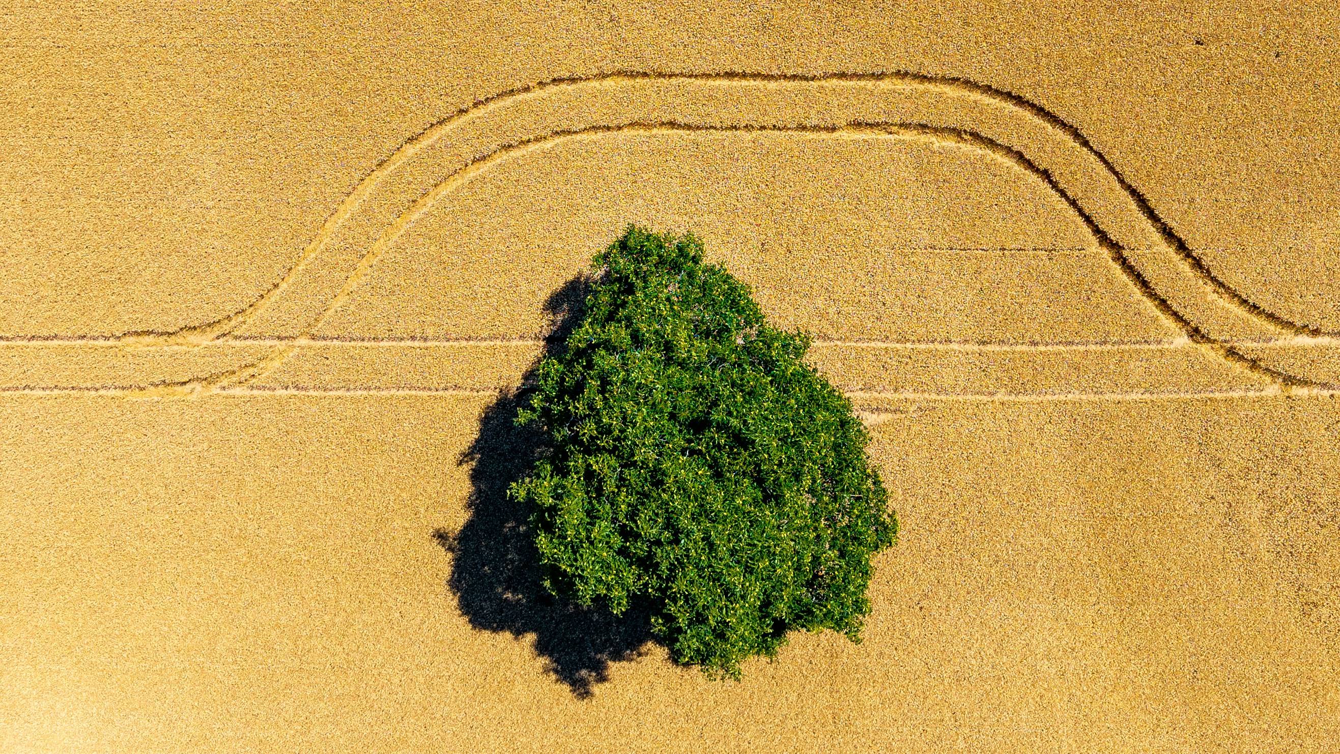 Why Some Mid-Size Firms Grow Faster With Fewer Clients